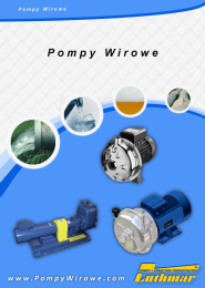 Katalog pompy wirowe, luthmar