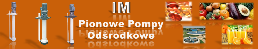 Pompa membranowa IM, Pionowa pompa odśrodkowa, Debem