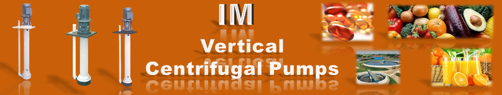 Luthmar, IM, Vertical centrifugal pumps , Debem